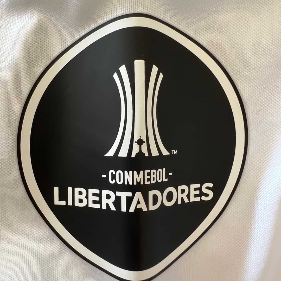 River Plate – Adidas – Julián Alvarez – Copa Libertadores 2022 - Imagen 11
