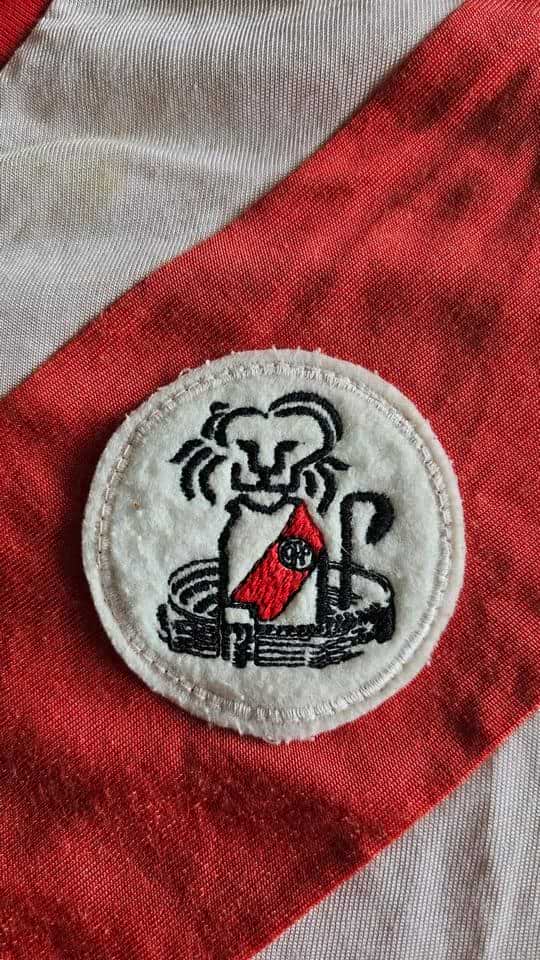 Roque Alfaro match worn jersey – River Plate – Torneo 1985 - Image 14
