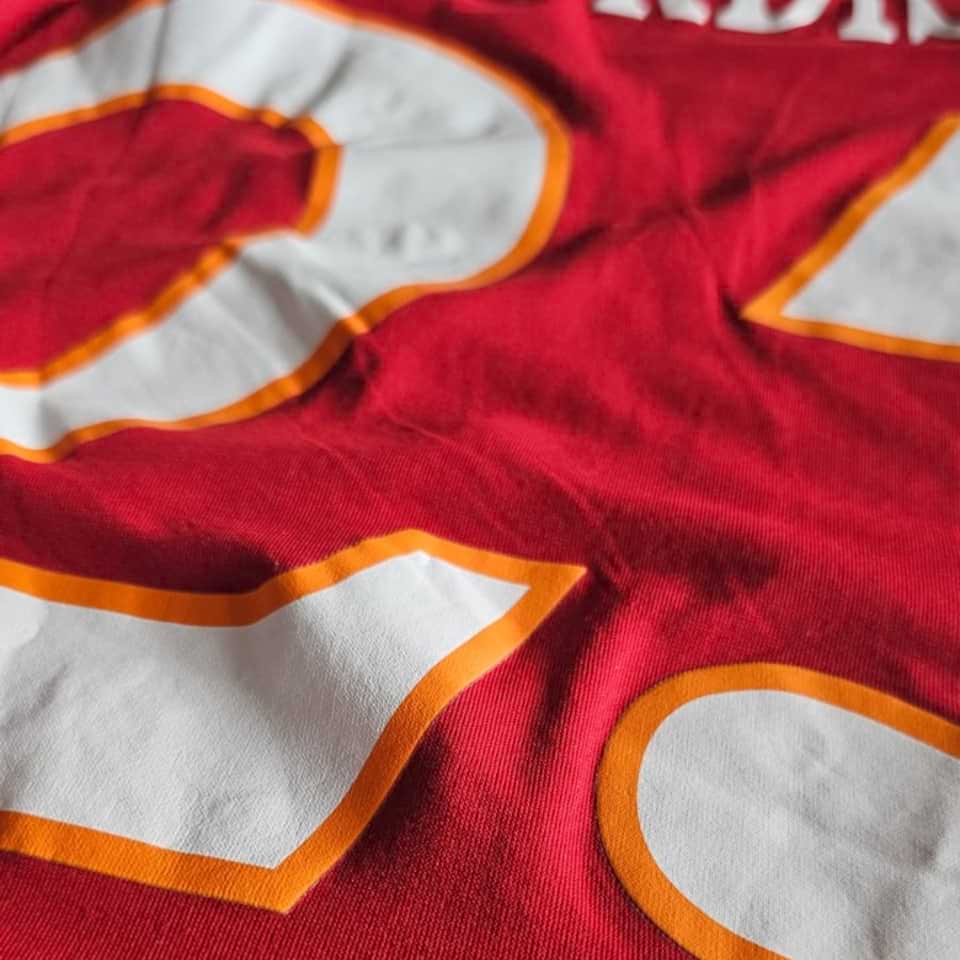 Guillermo Burdisso – AS Roma – Match worn – Serie A 2010 - Image 9
