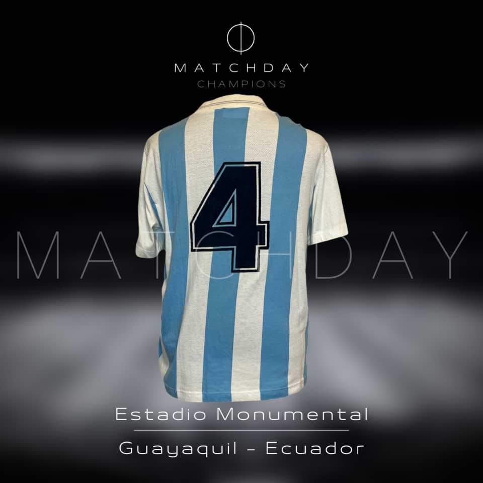Fabián Basualdo – Argentina National Team – Match worn – Copa América Final 1993 - Imagen 5