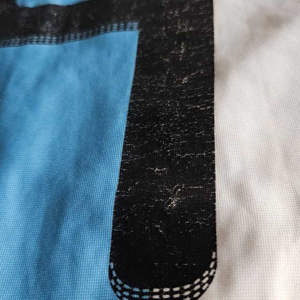 Nicolas Burdisso – Match worn – Signed by Messi – Amistoso internacional - Image 15