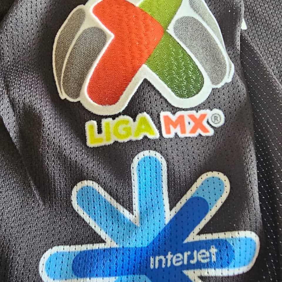 Agustin Marchesin – Match worn – Liga MX -Torneo Apertura 2019 - Imagen 13