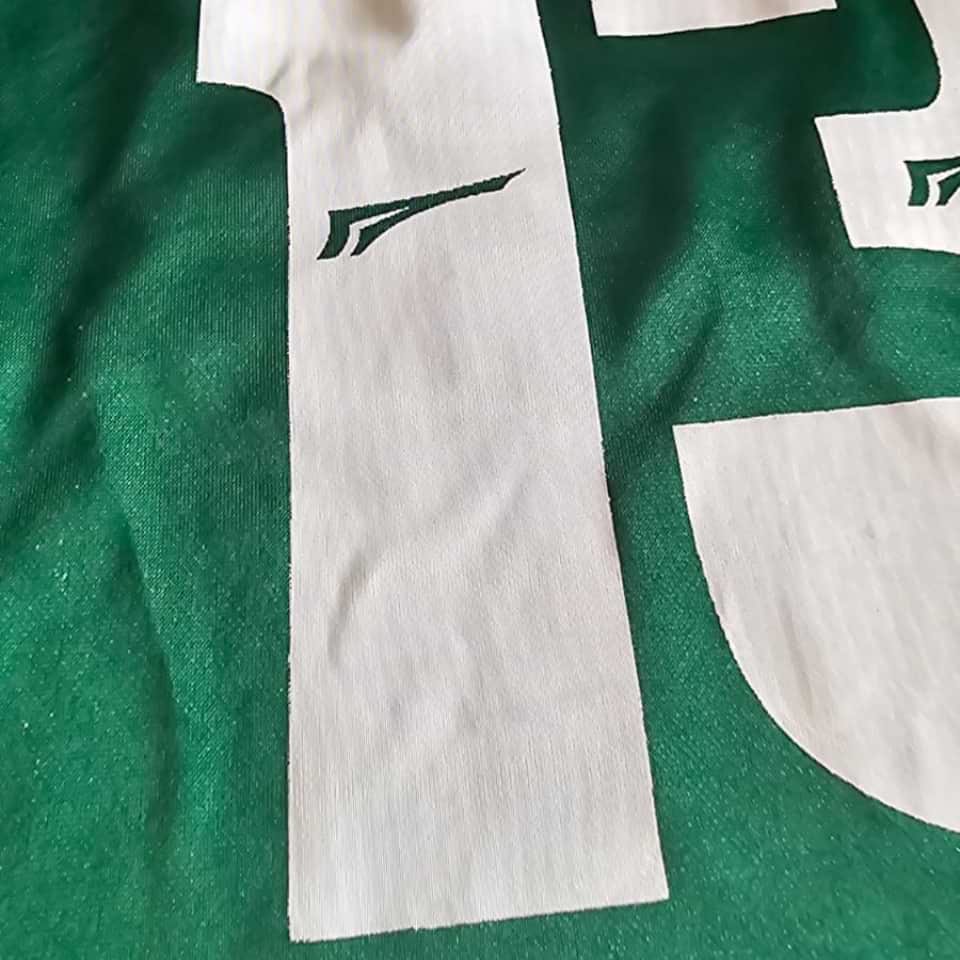 Palmeiras Copa Mercosur 2001 - Imagen 11