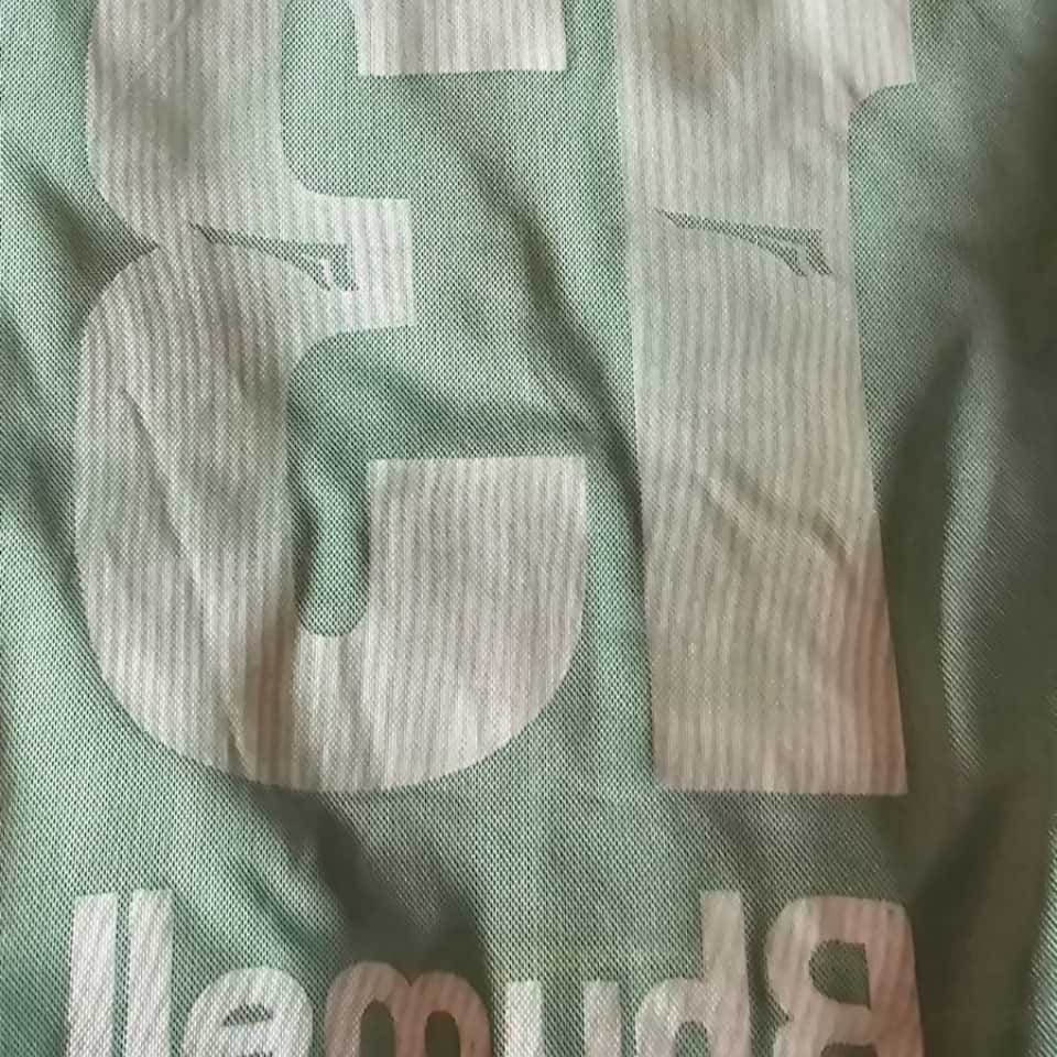 Palmeiras Copa Mercosur 2001 - Imagen 17
