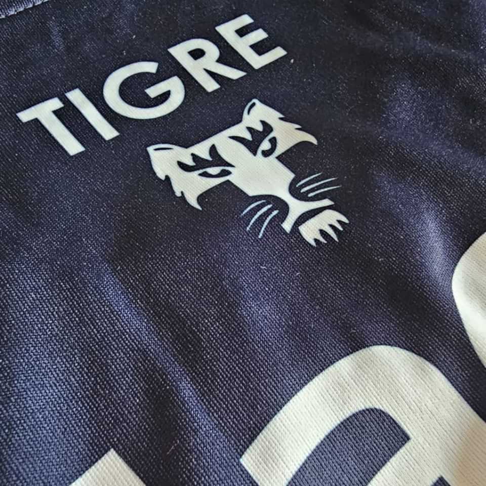 Gastón Bojanich – Tigre – Campeonato Primera División 2017 – MATCH WORN - Imagen 21