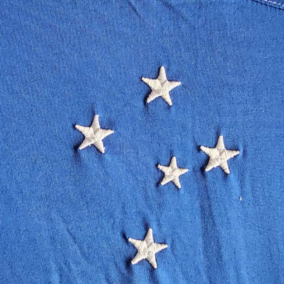 Walter Montillo – Cruzeiro – Campeonato Brasileiro Serie A 2010 – MATCH WORN - Imagen 13