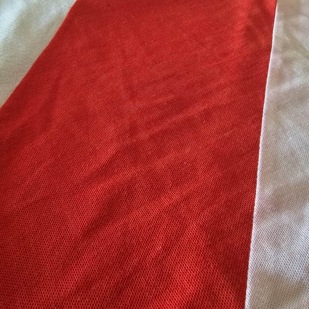 Héctor López – River Plate – Campeonato Nacional 1980 – MATCH WORN JERSEY - Imagen 15