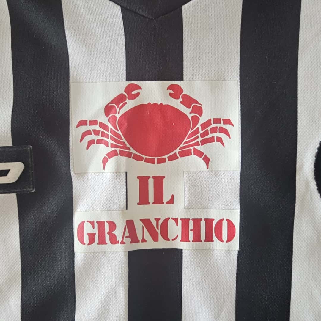 Alexis Sánchez – Udinese Calcio – Serie A 2008/09 – MATCH WORN JERSEY – CUT SLEEEVES – P. ALVAREZ COLLECTION - Imagen 15