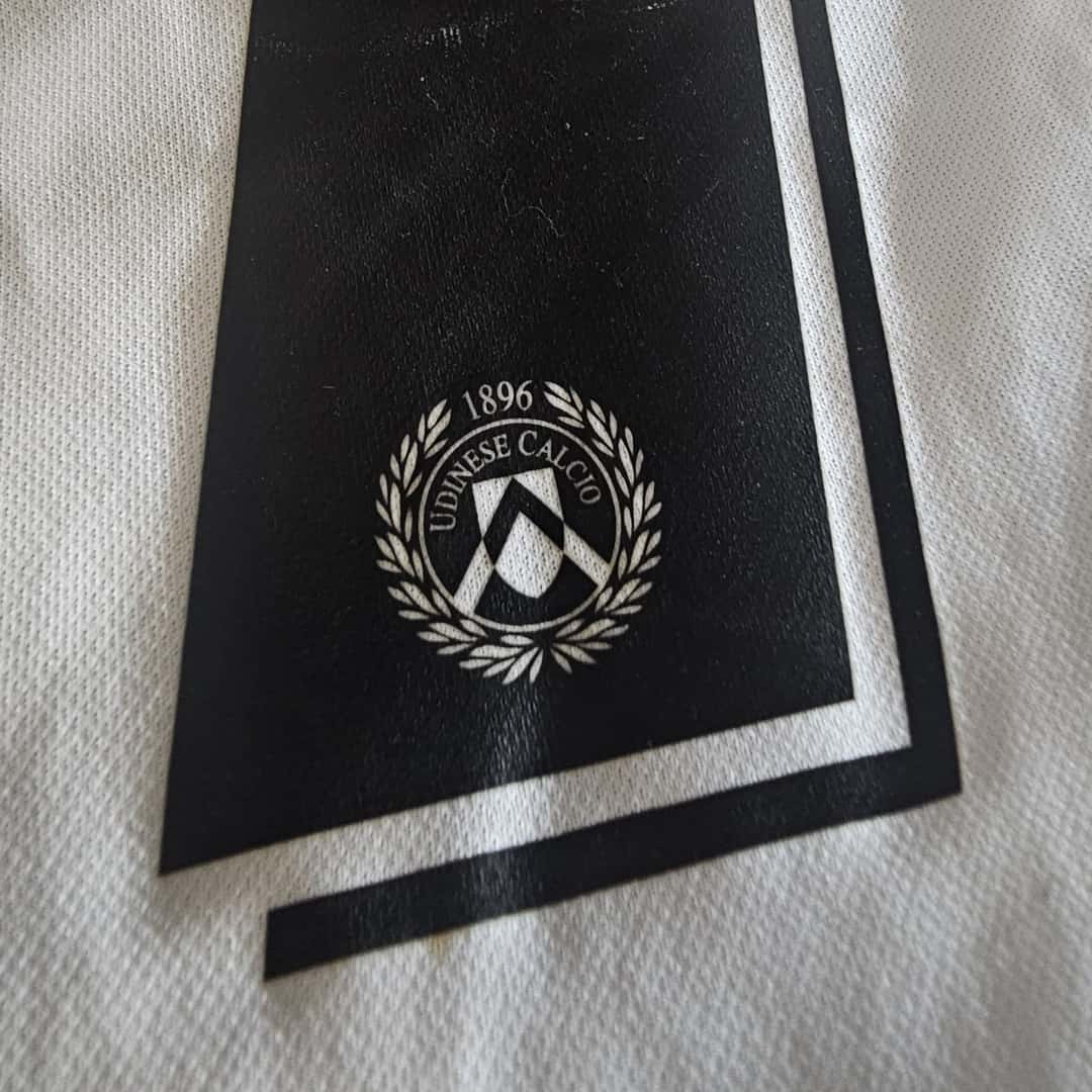 Alexis Sánchez – Udinese Calcio – Serie A 2008/09 – MATCH WORN JERSEY – CUT SLEEEVES – P. ALVAREZ COLLECTION - Imagen 13