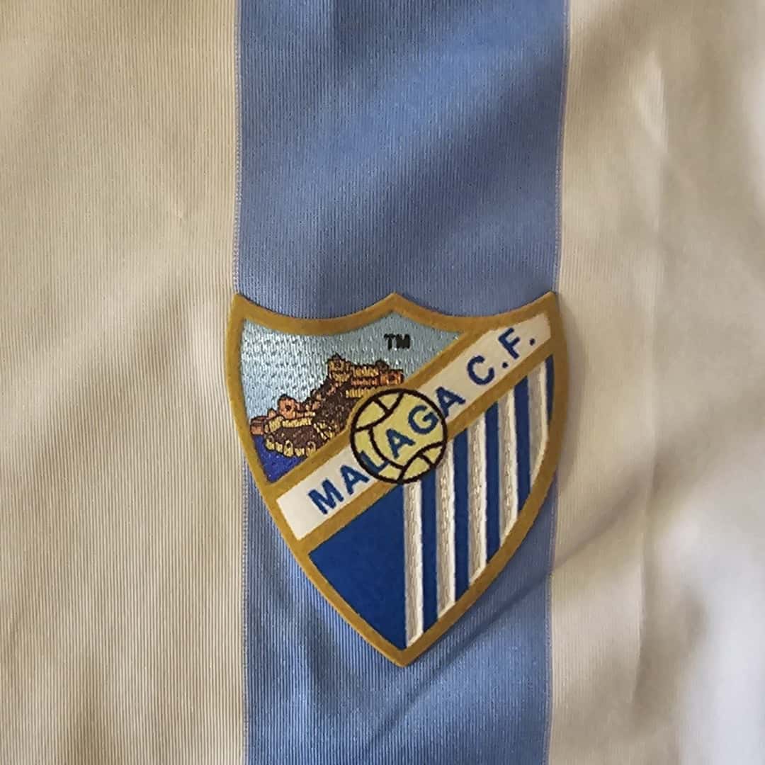 Martín Demichelis – Málaga FC – LFP 2011/12 – MATCH WORN JERSEY – P. ÁLVAREZ COLLECION - Imagen 14