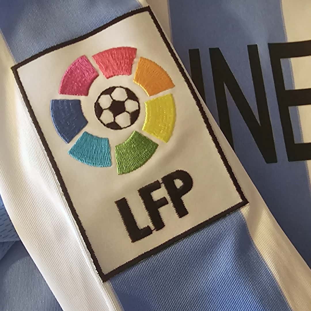 Martín Demichelis – Málaga FC – LFP 2011/12 – MATCH WORN JERSEY – P. ÁLVAREZ COLLECION - Imagen 11