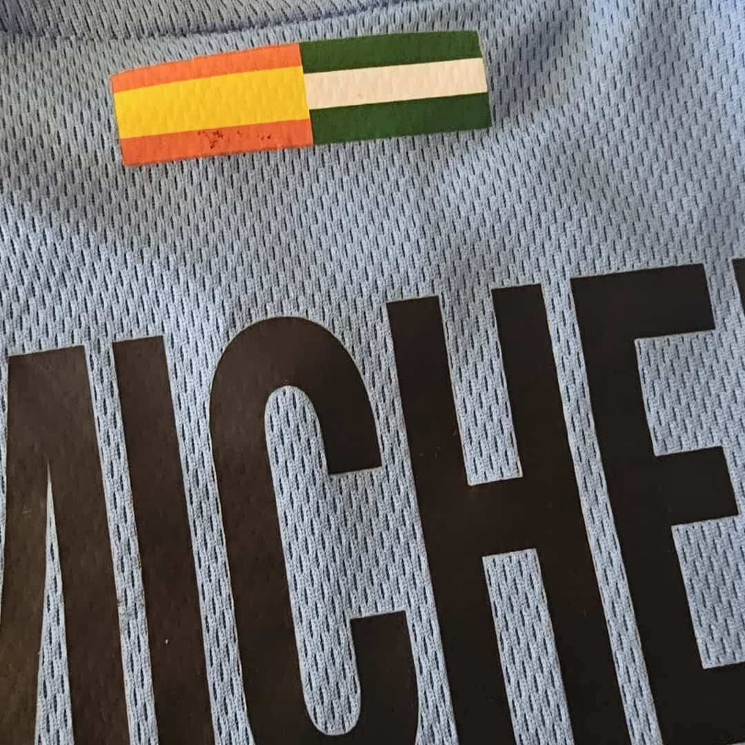 Martín Demichelis – Málaga FC – LFP 2011/12 – MATCH WORN JERSEY – P. ÁLVAREZ COLLECION - Imagen 9