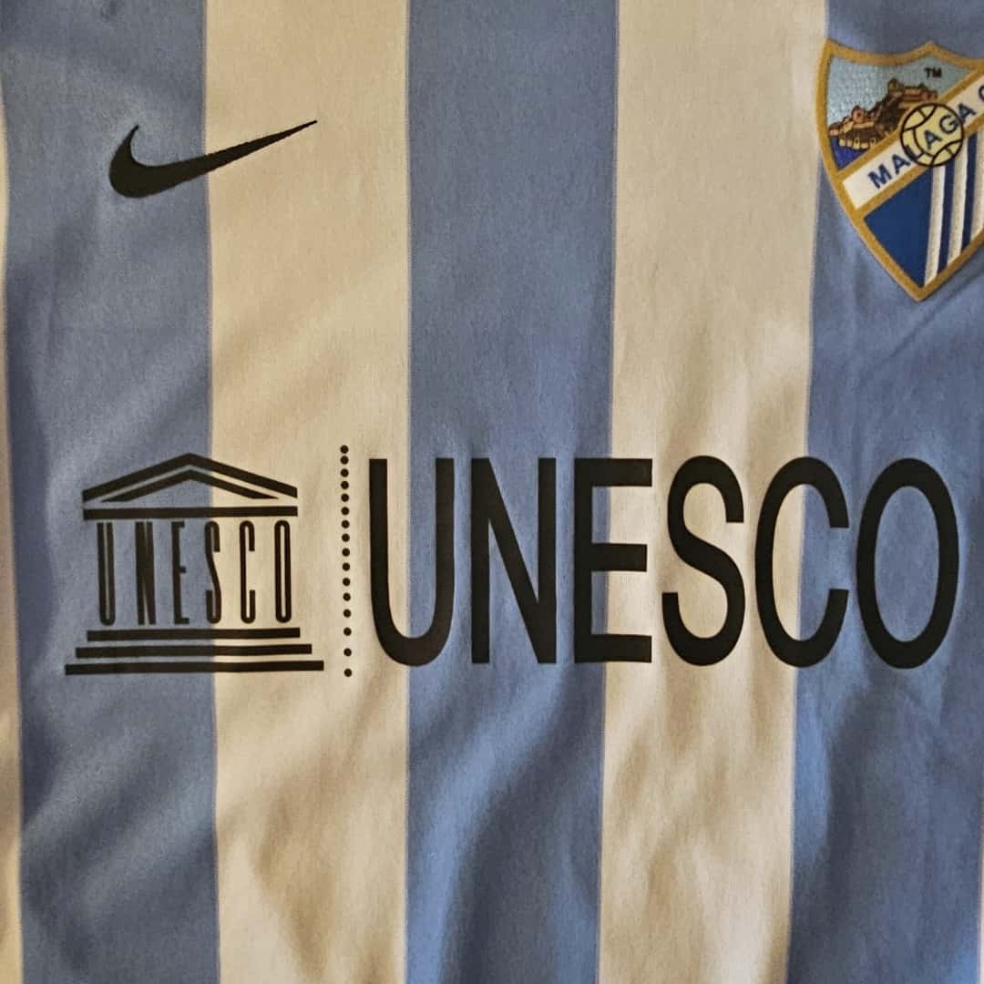 Martín Demichelis – Málaga FC – LFP 2011/12 – MATCH WORN JERSEY – P. ÁLVAREZ COLLECION - Imagen 7