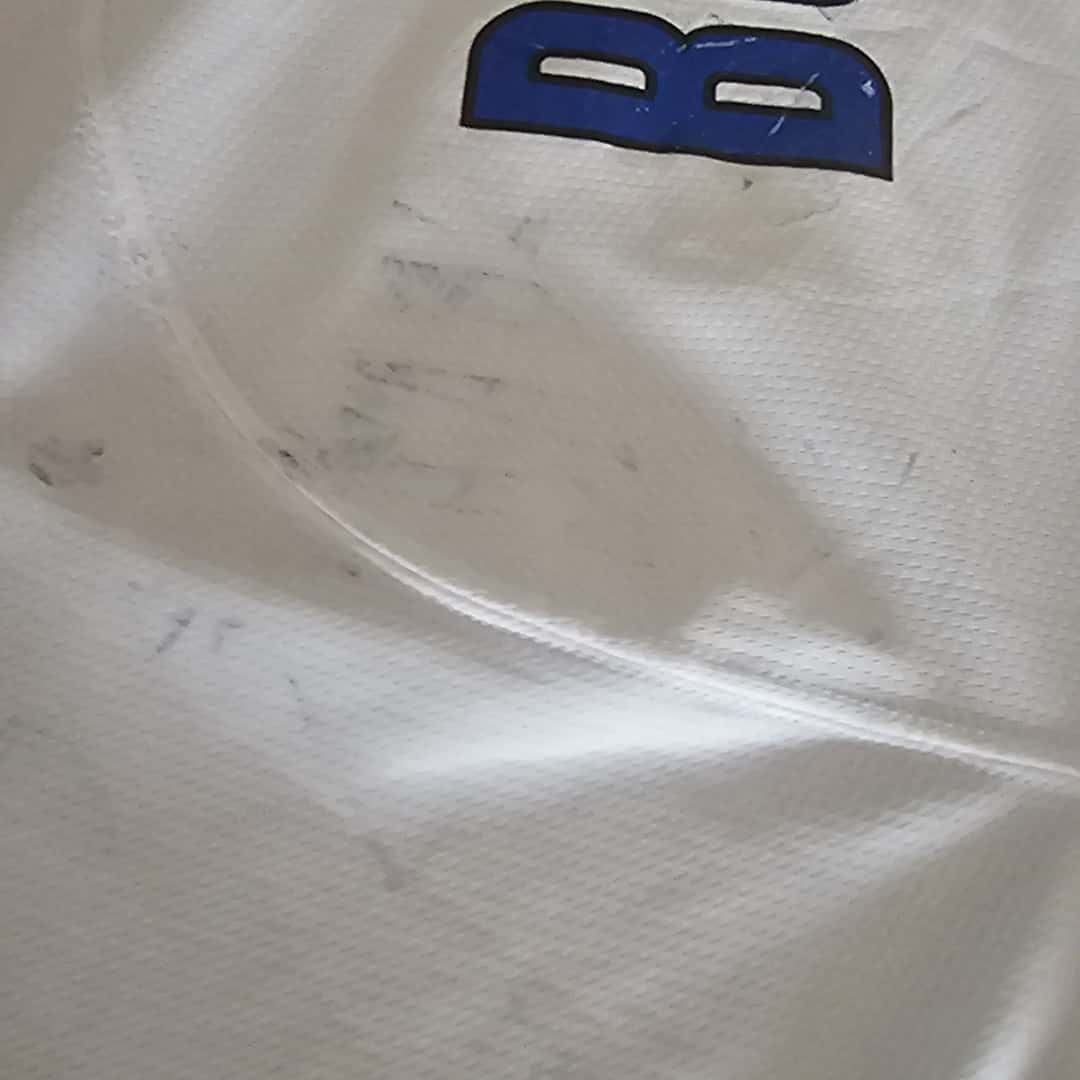Nicolas Burdisso – Inter FC – Serie A 2007/08 – MATCH WORN JERSEY – P. ALVAREZ COLLECTION - Imagen 13