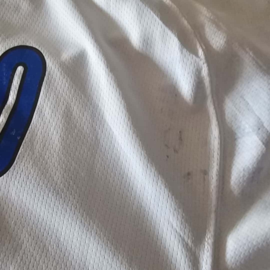 Nicolas Burdisso – Inter FC – Serie A 2007/08 – MATCH WORN JERSEY – P. ALVAREZ COLLECTION - Imagen 12