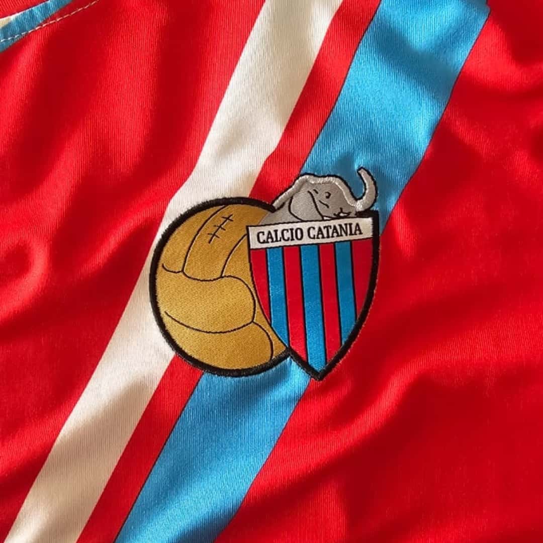 Pablo Álvarez – Calcio Catania – Serie A 2009/10 – MATCH WORN JERSEY – P. ÁLVAREZ COLLECTION - Imagen 20
