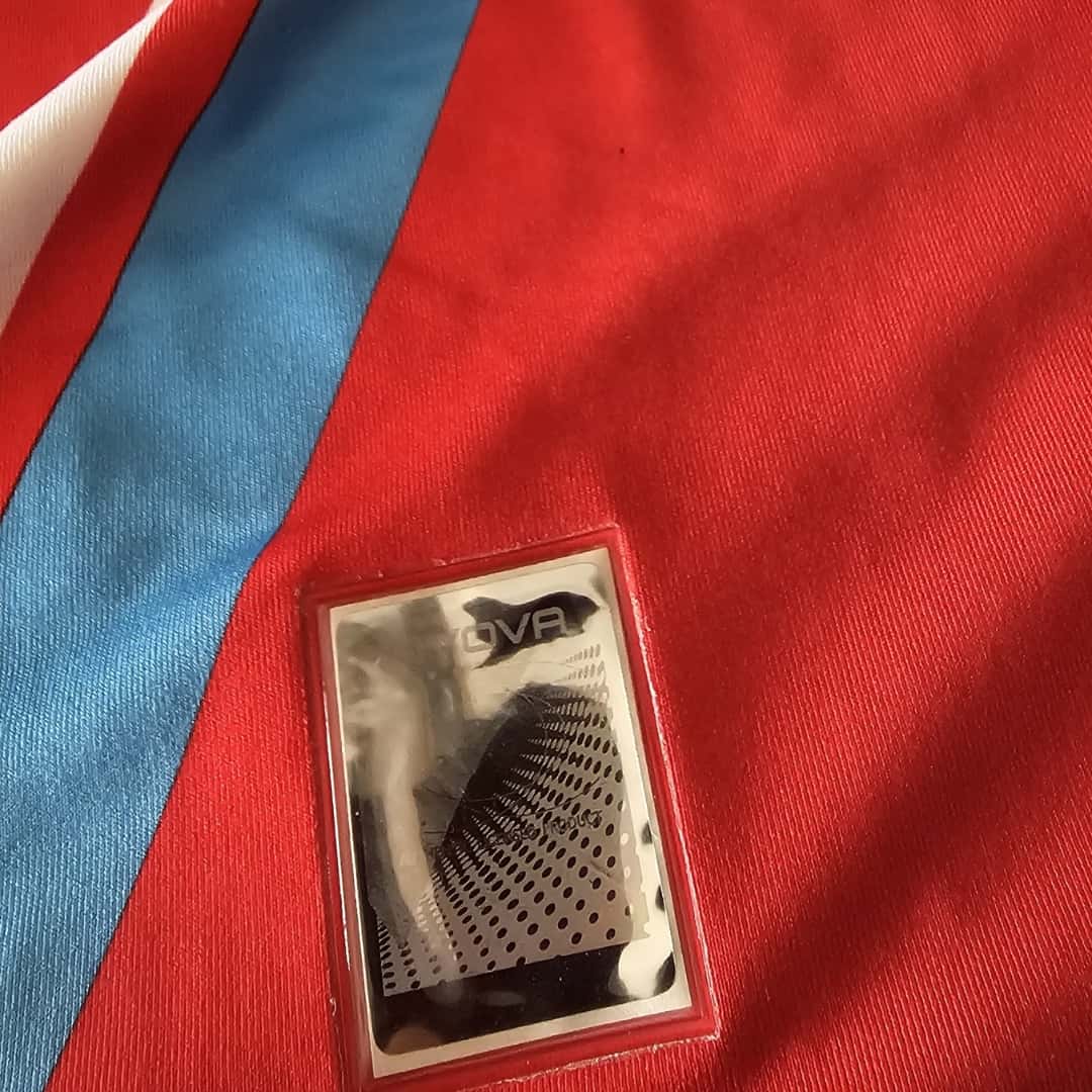 Pablo Álvarez – Calcio Catania – Serie A 2009/10 – MATCH WORN JERSEY – P. ÁLVAREZ COLLECTION - Imagen 14