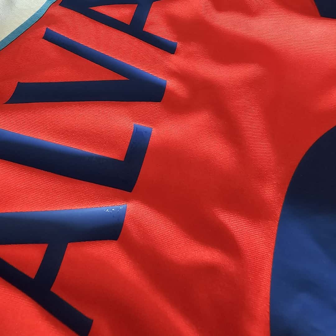 Pablo Álvarez – Calcio Catania – Serie A 2009/10 – MATCH WORN JERSEY – P. ÁLVAREZ COLLECTION - Imagen 12