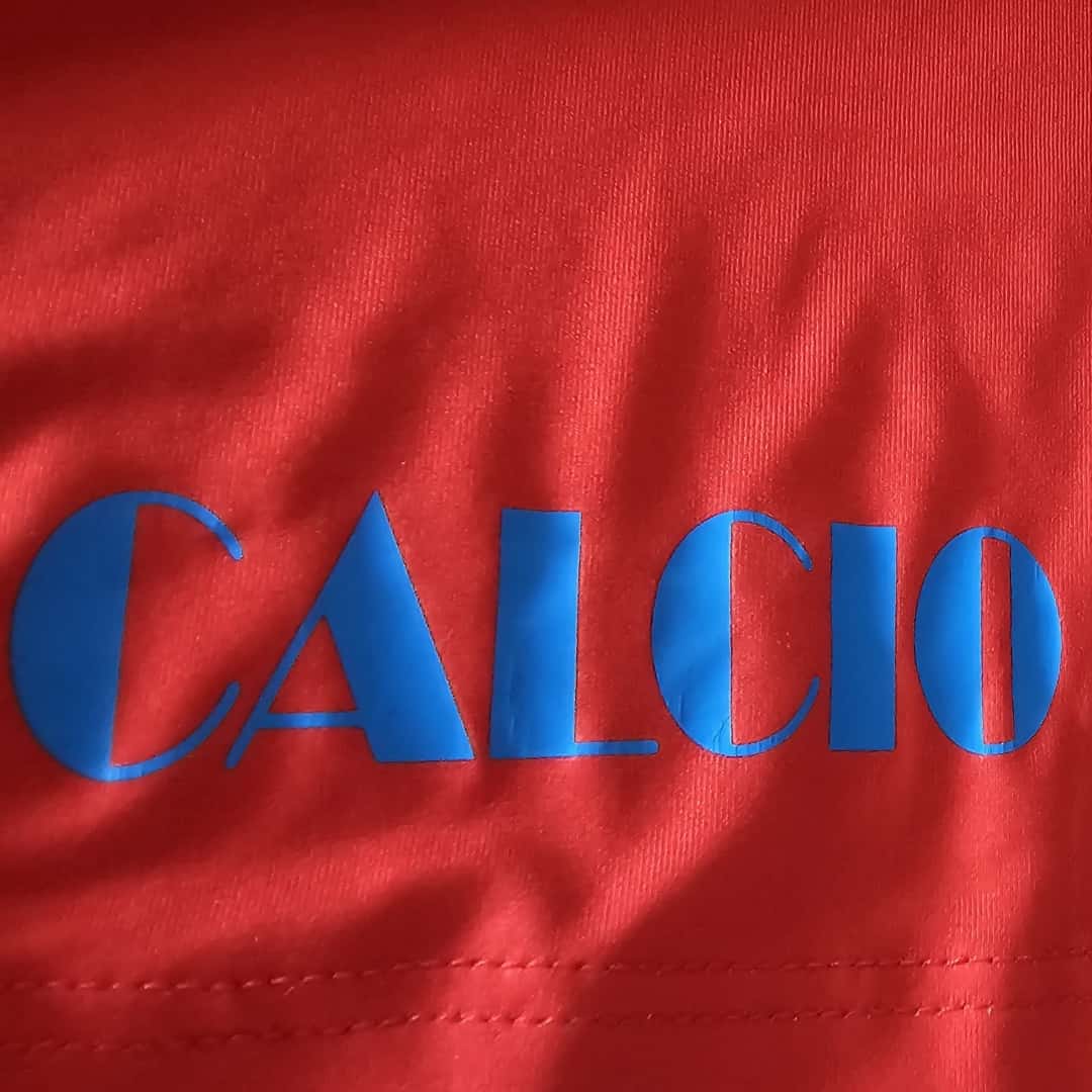 Pablo Álvarez – Calcio Catania – Serie A 2009/10 – MATCH WORN JERSEY – P. ÁLVAREZ COLLECTION - Imagen 9