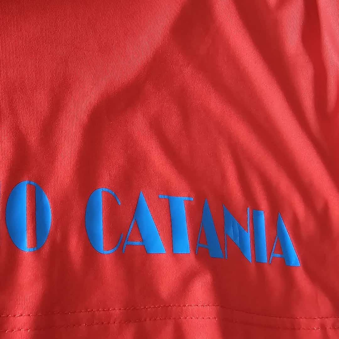 Pablo Álvarez – Calcio Catania – Serie A 2009/10 – MATCH WORN JERSEY – P. ÁLVAREZ COLLECTION - Imagen 8