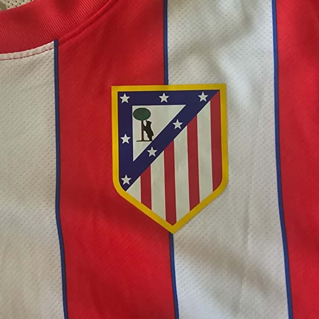 Eduardo Salvio – Atlético Madrid – LFP 2011/12 – MATCH WORN JERSEY – P ALVAREZ COLLECTION - Imagen 12