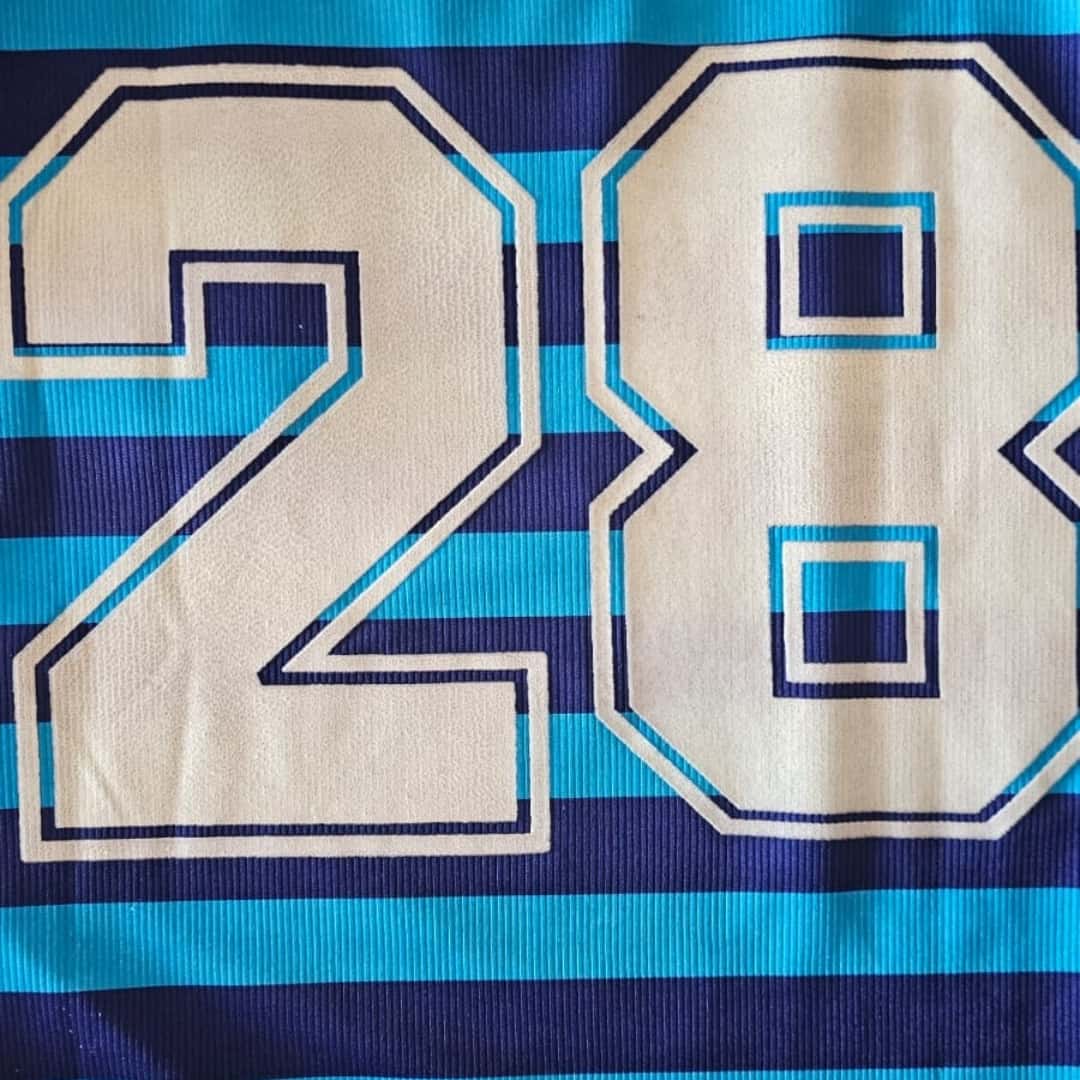 Luciano Castillo – Racing Club – Torneo Clausura 1999 – MATCH WORN JERSEY - Imagen 24