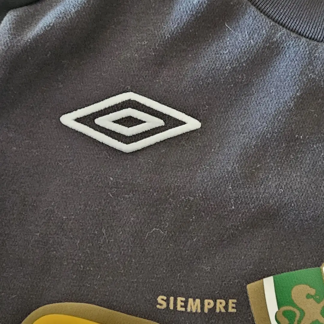 Cristóbal Jorquera – Colo Colo – Torneo Clausura 2011 – MATCH WORN JERSEY – JUAN ELUCHANS COLLECTION - Imagen 15