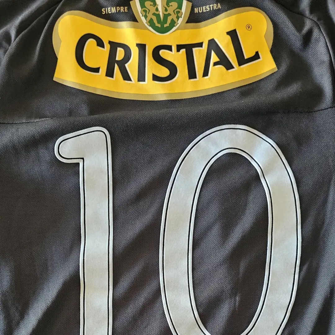 Cristóbal Jorquera – Colo Colo – Torneo Clausura 2011 – MATCH WORN JERSEY – JUAN ELUCHANS COLLECTION - Imagen 26