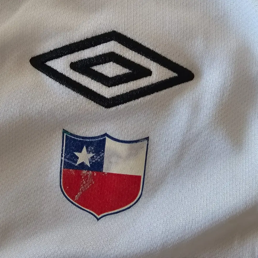 Lucas Wilchez – Colo Colo – Campeonato Nacional 2010 – MATCH WORN JERSEY – JUAN ELUCHANS COLLECTION - Imagen 17