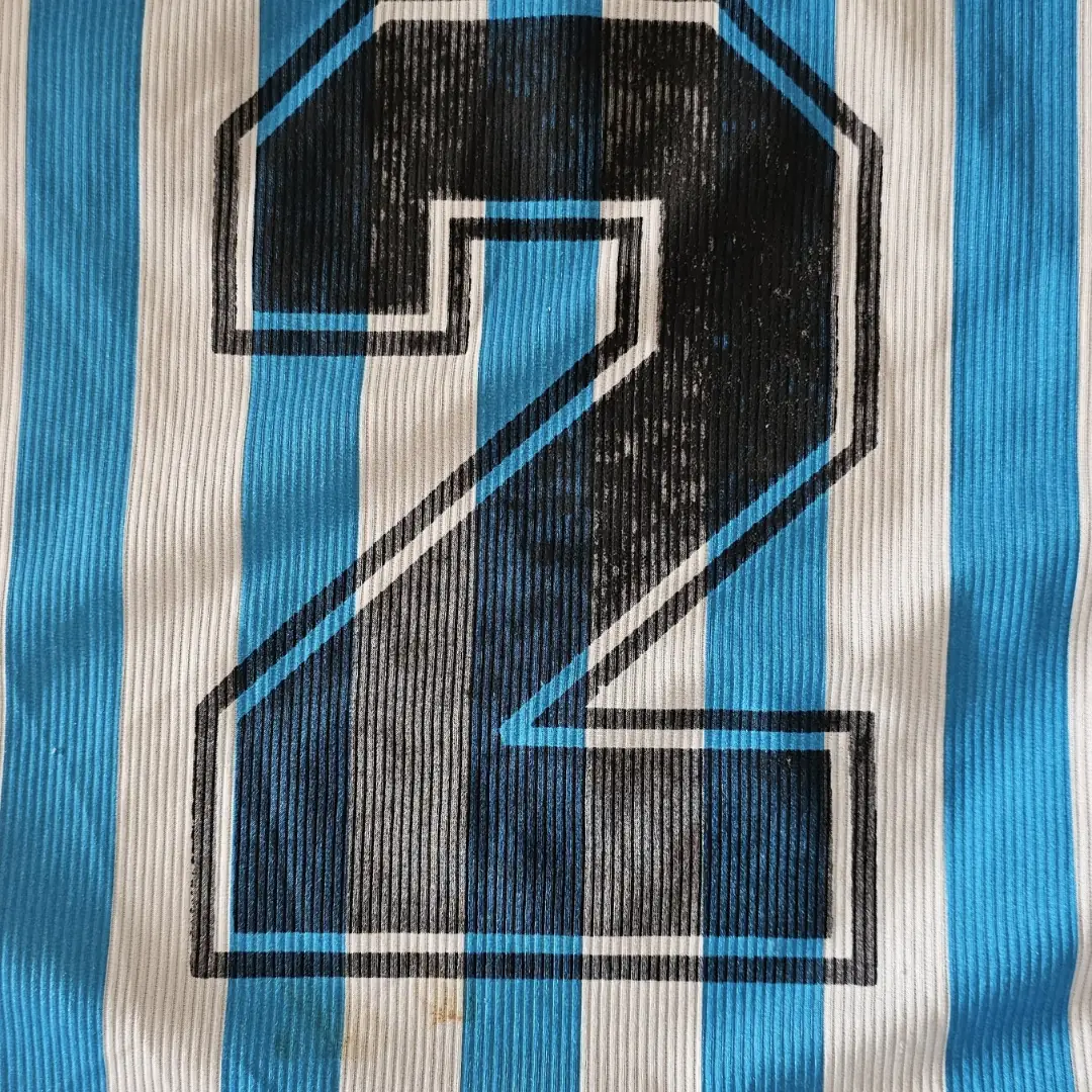 Diego Capria – Racing Club – Copa Ciudad de Mar del Plata 1999 – Match worn jersey - Image 21