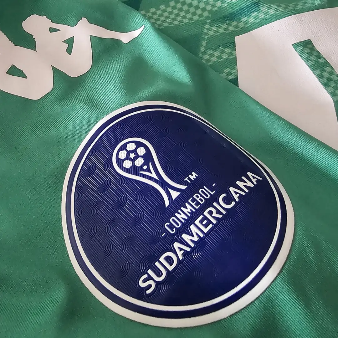 Facundo Cambeses – Racing Club – Copa Sudamericana 2024 - Imagen 9