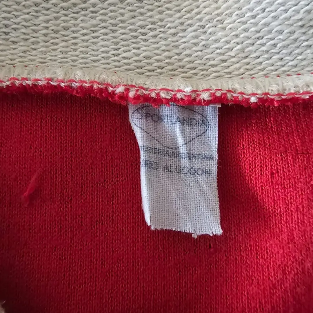 David Acevedo – C. A. Independiente – Campeonato Metropolitano & Copa Libertadores 1968- Match worn jersey - Image 9